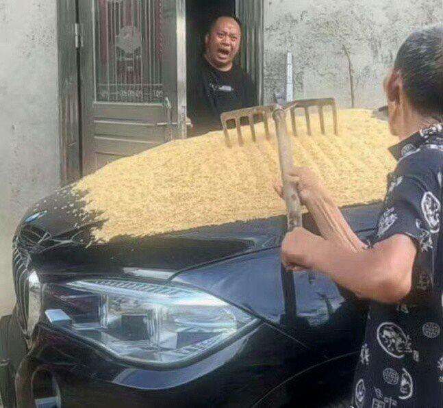 看父亲一把年纪了还在晒谷，儿子发出了撕心裂肺的叫声。