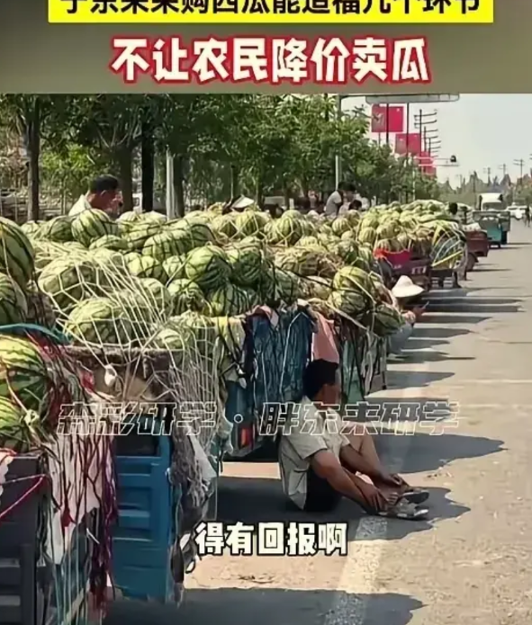 拒压价！于东来护农，
于东来采购西瓜，发现瓜农的西瓜又好又甜，于是决定订购。两人