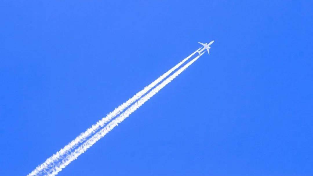 携程有没有原罪？| 愉见周末