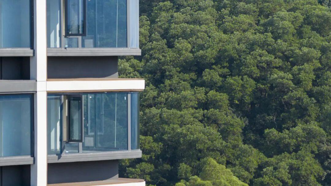 居然又升级了！现在起，好看或许是它最不值一提的优点