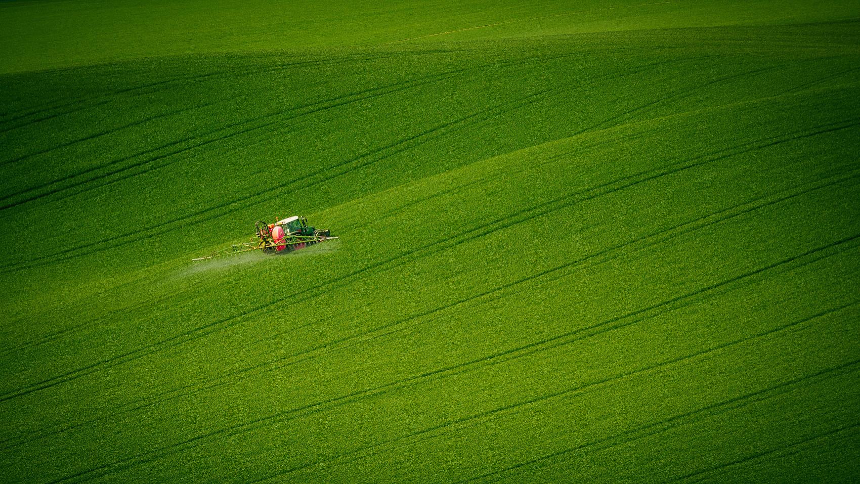 汪缘堂：如何判断一个人的寿命长还是短？