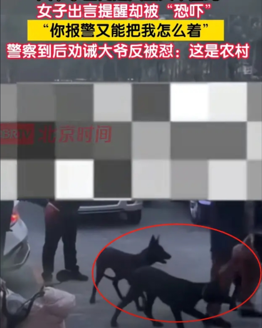 北京，一位大爷在下午遛狗的时候，带着俩大黑狗还不牵绳。一位热心女子瞧见了，就好心