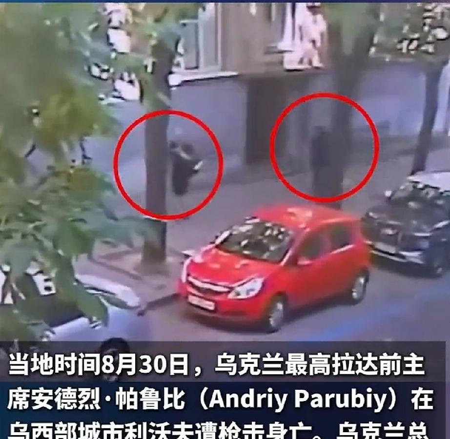 帕鲁比是2014年敖德萨纵火案的组织者，另一名组织者加努尔在今年的3月份在街头上