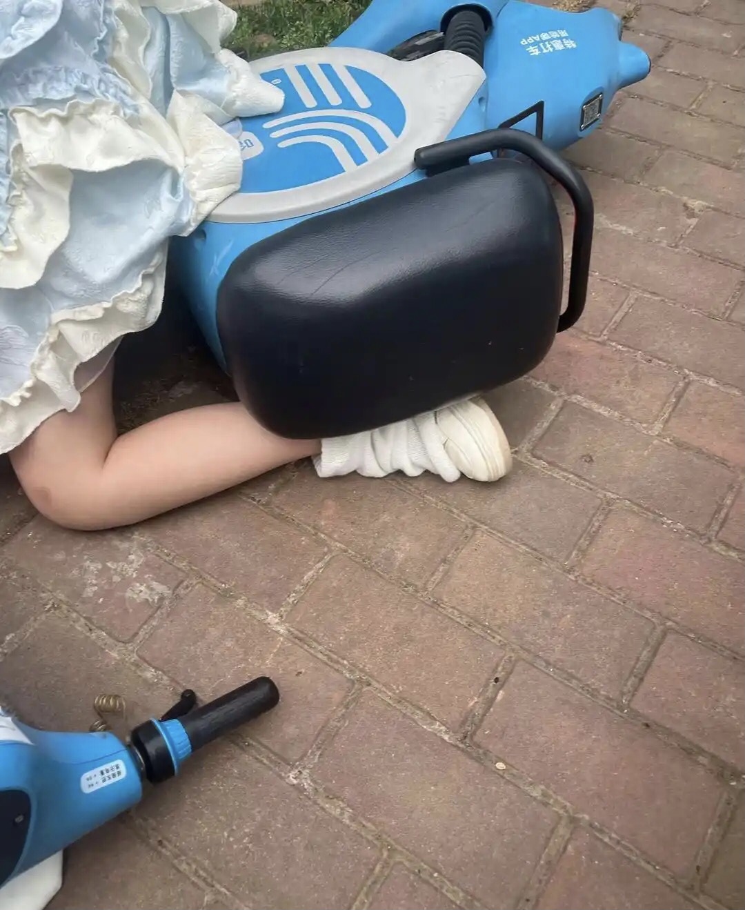 看腿是很小一只。快救救孩子吧