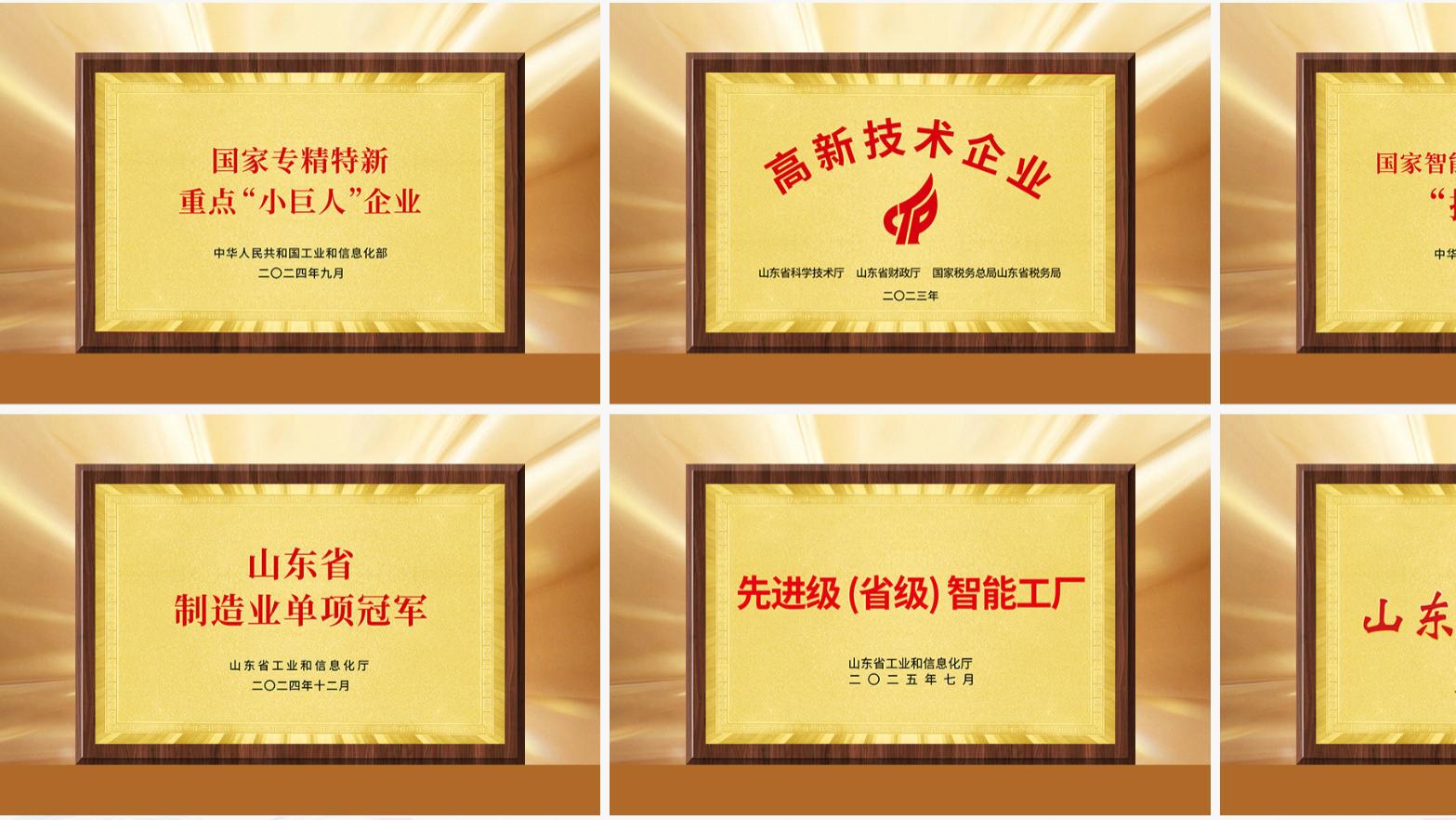 清峦福兴集团荣誉：国家级9项、省级32项