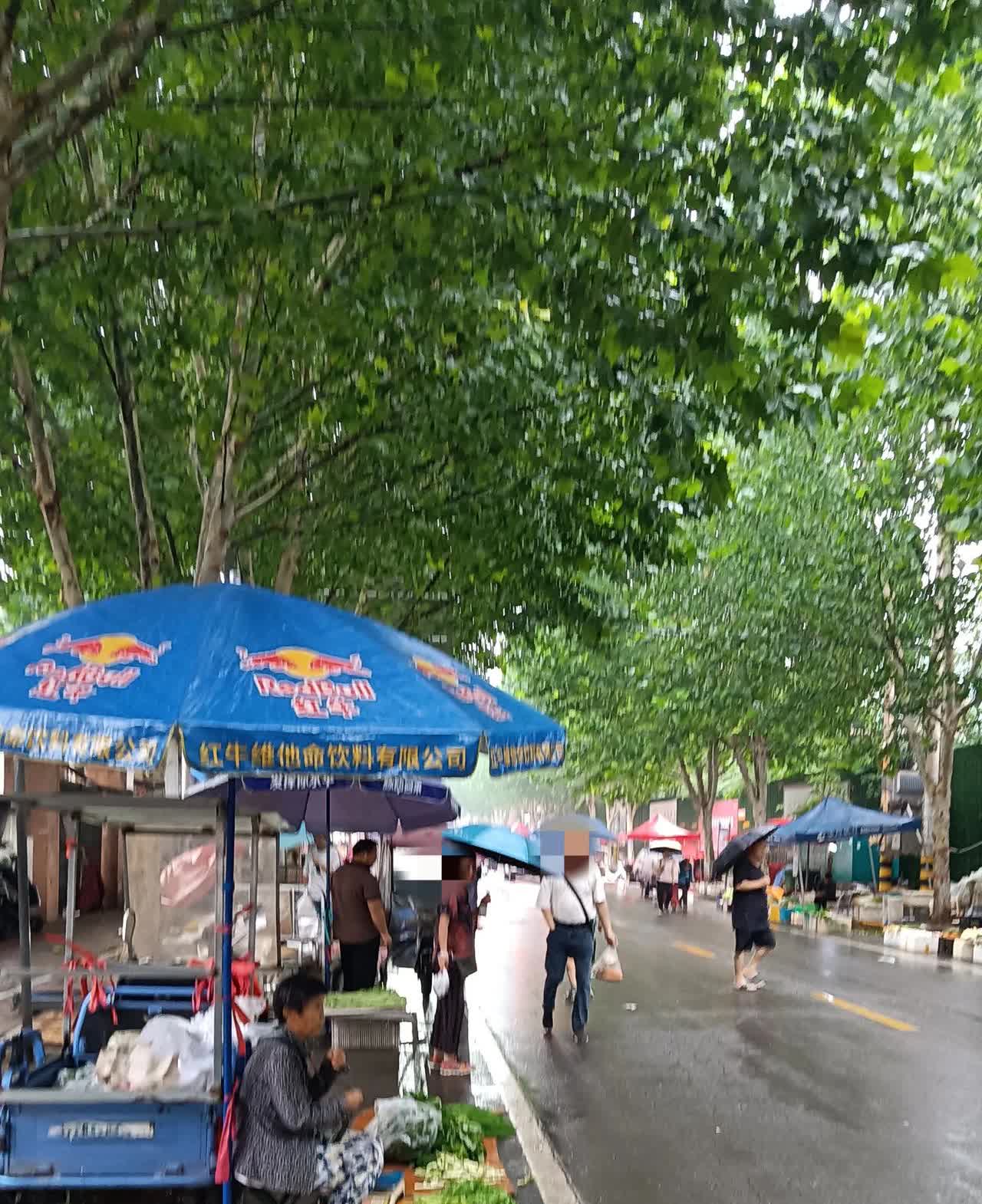 这件小事值得分享一下。今天早上下起了不大不小的雨，想到昨晚说好要去买排骨，还是打