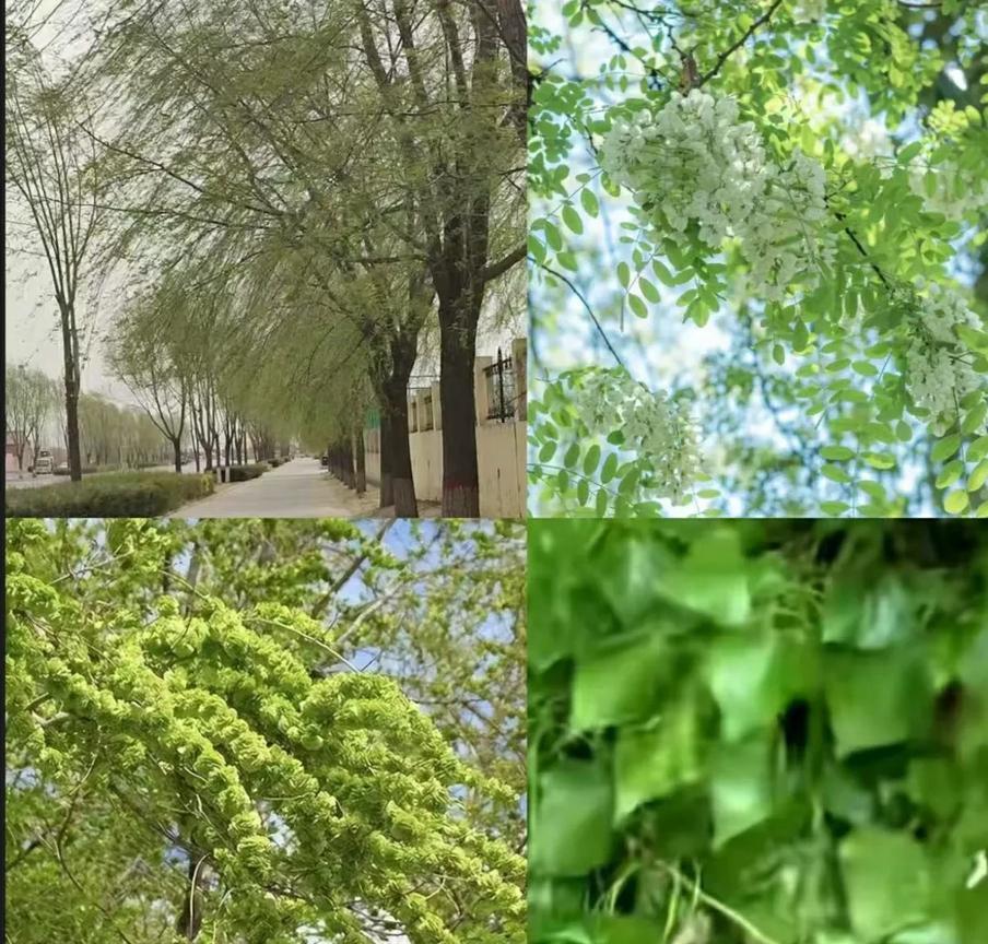 有这么几个人
有事的时候就随时随地给我打电话
有时说着说着就突然断了
如果他或她