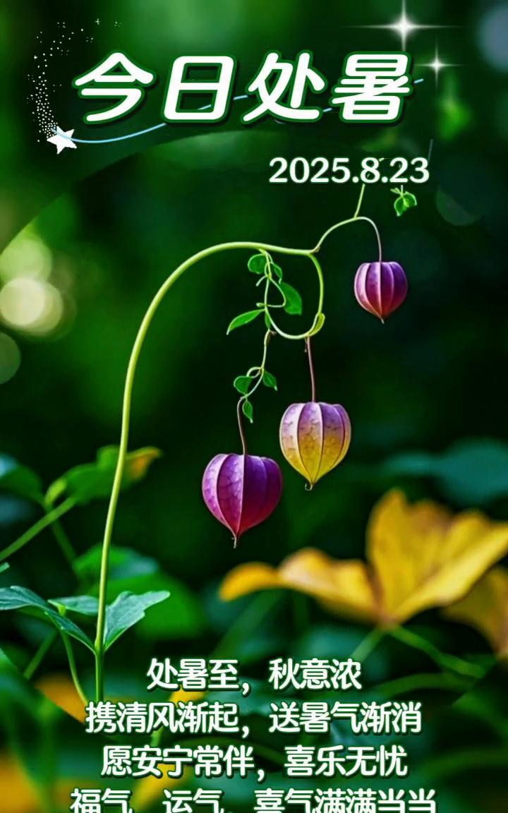 今日处暑。
处暑至，秋意浓。携清风渐起，送暑气渐消。愿安宁常伴，喜乐无忧。福气、