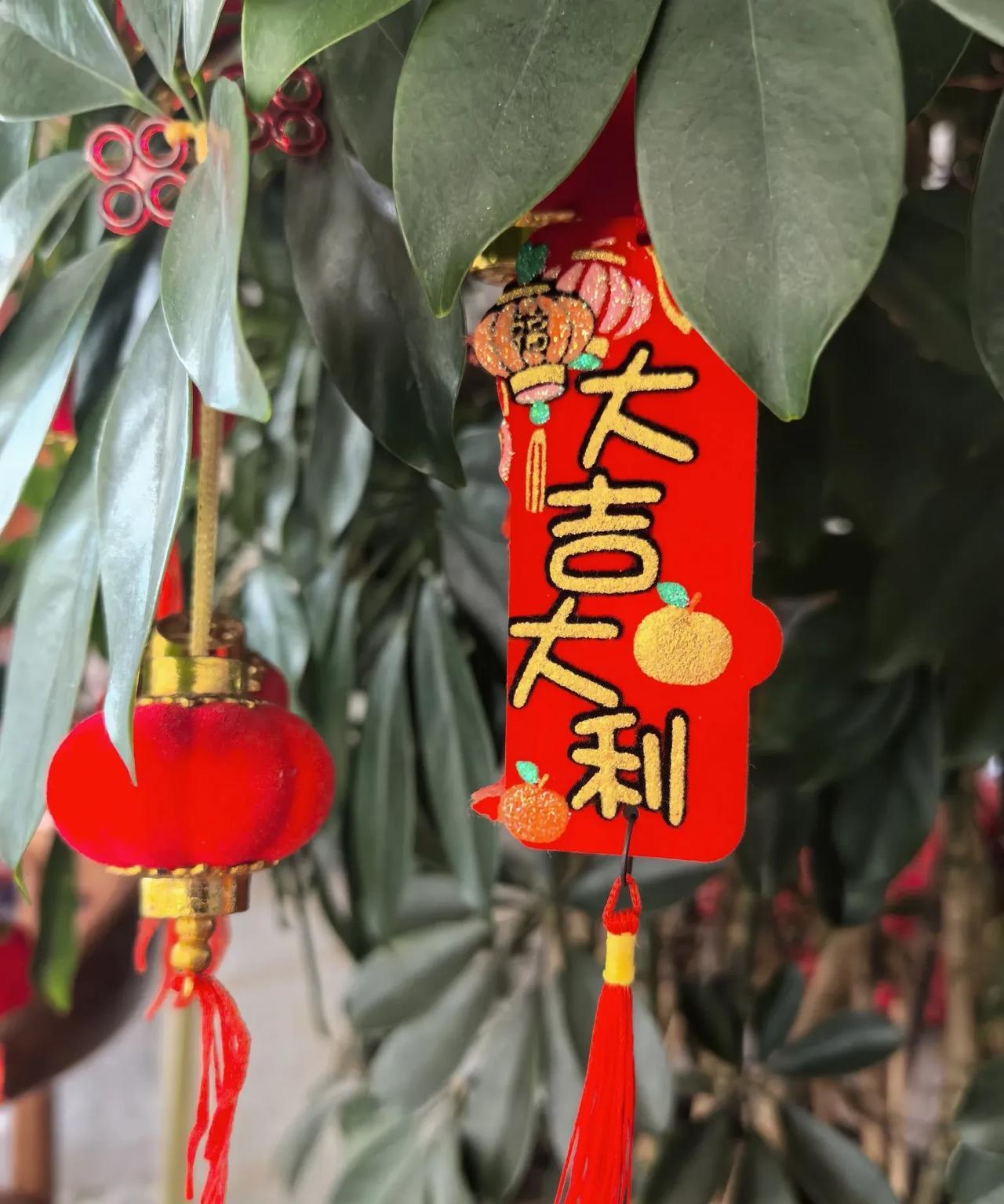 几餐农家饭～
山外风清凉～
花静夜不语～
犬吠农舍旁～
在大山里住了两天。
白天