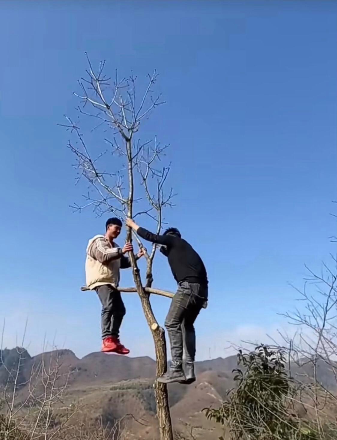 稍有不慎就有全村吃席的风险啊