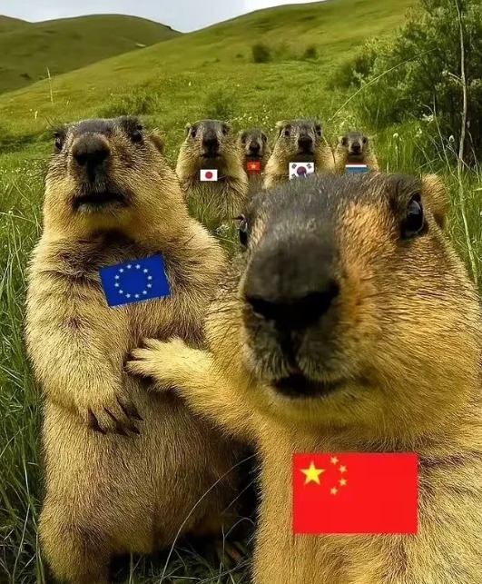 中国真牛，老美都懵了，赢麻了











**大家快看！中国这次真的硬