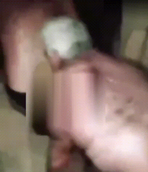 多段视频曝光，HTS武装分子对阿拉维派平民施暴行径令人发指！他们强迫平民脱掉上衣