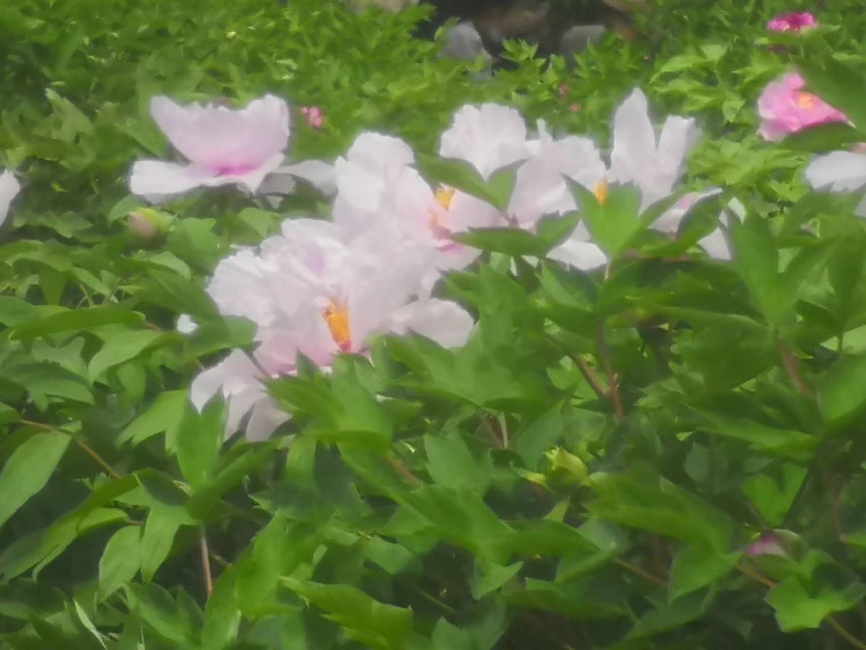 闭上眼，以为我能忘记，但流下的眼泪，却没有骗到自己