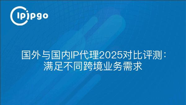 国外与国内IP代理2025对比评测：满足不同跨境业务需求