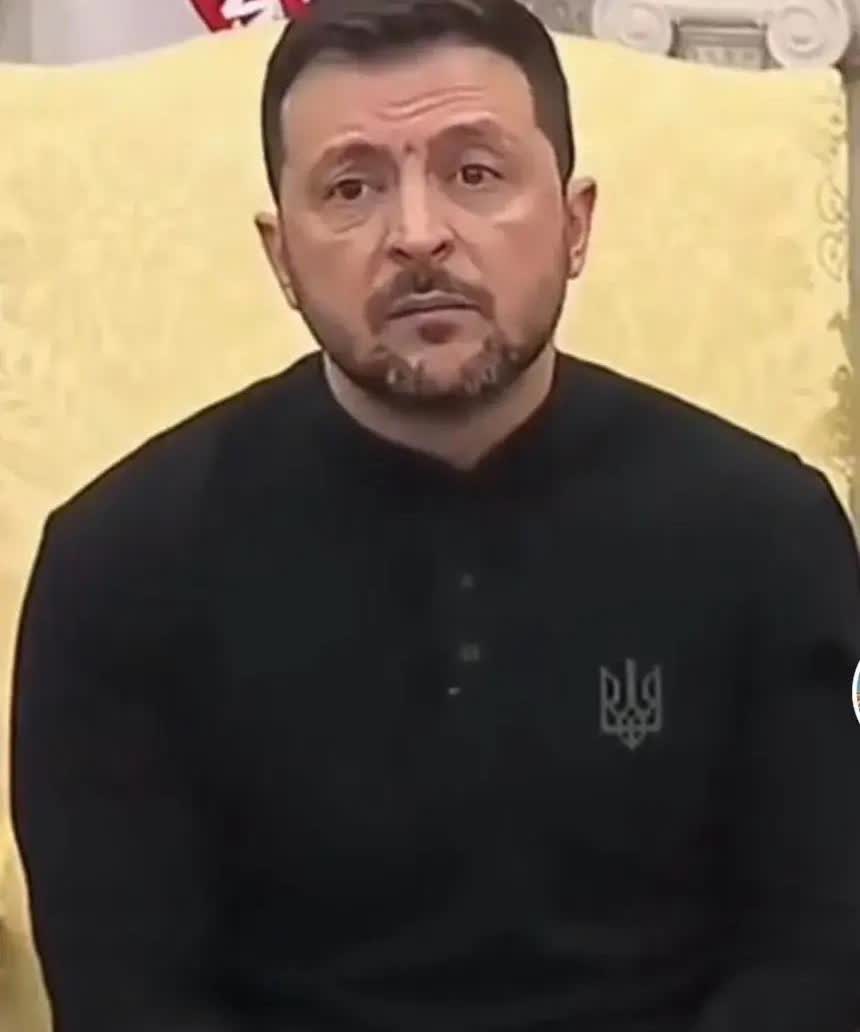 司机大事不妙，西方媒体纷纷指责司机在撒谎，多家西方媒体披露泽连斯基涉嫌故意隐瞒了