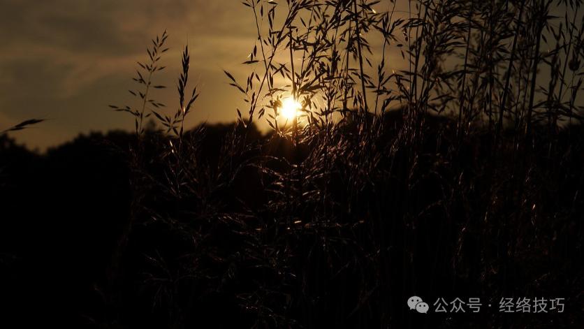 二九将至，少吃油条、面包多吃它！天越冷越该吃，滋养腿脚和筋骨，一家老小都适合