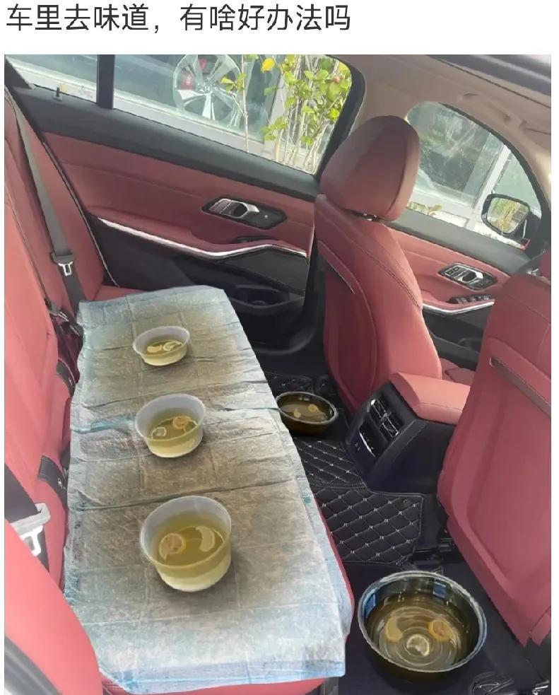 买点活性炭 或者是蜡烛点燃吸附异味 但是要注意点安全！
