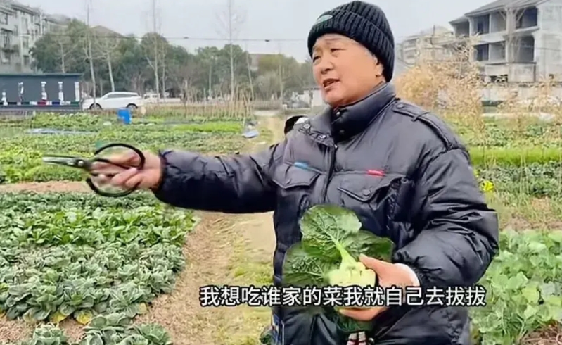 全网最硬气的老太太来啦！
老太太偷菜被当场抓包，老太太硬气的说：“想吃谁家的菜，