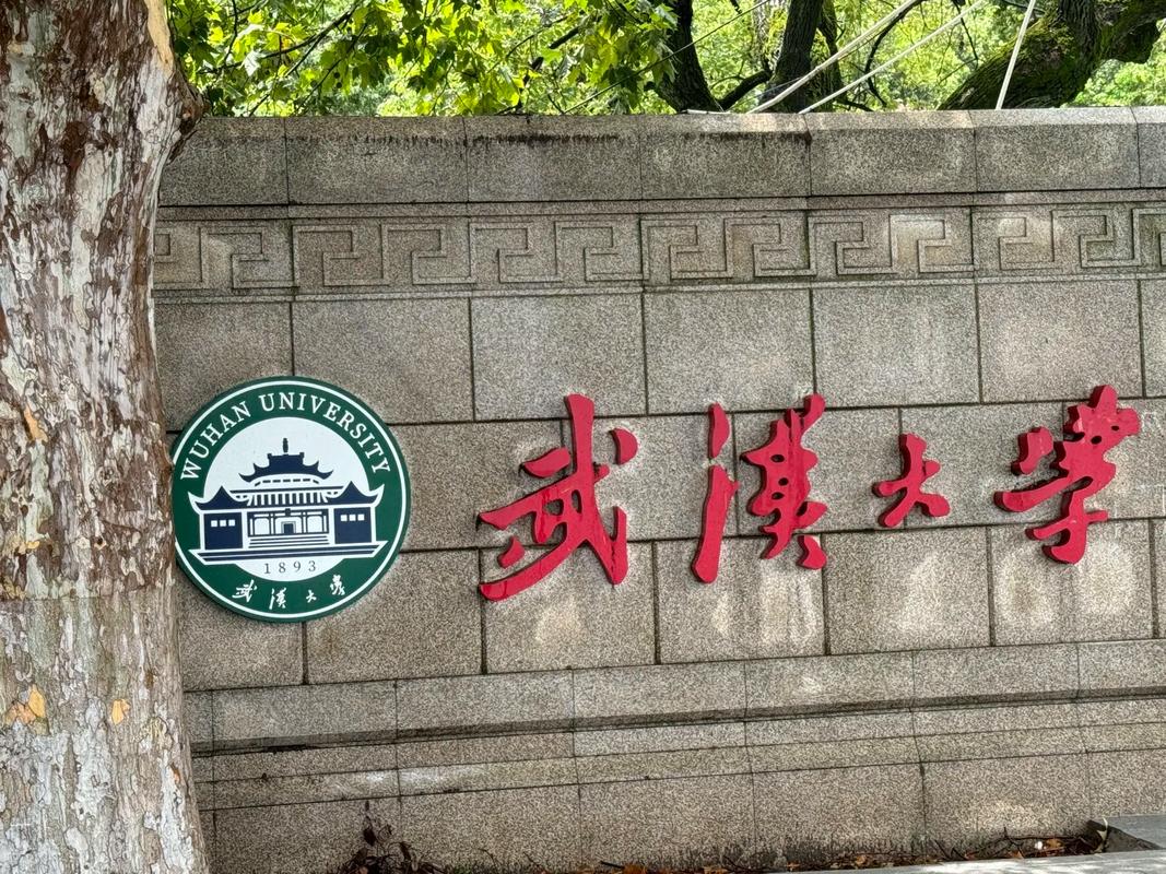 #武汉大学图书馆涉嫌性骚扰事件# 是非自有公论，公道自在人心。据悉，肖母称，事发