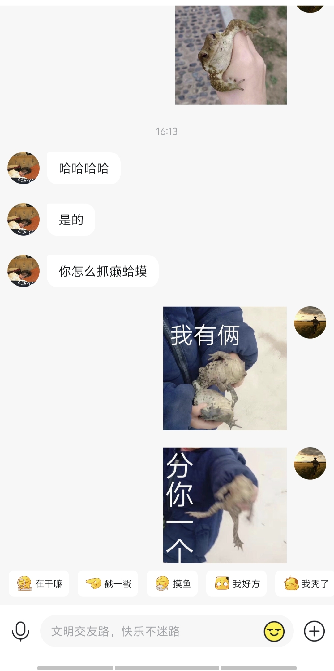 你怎么抓癞蛤蟆