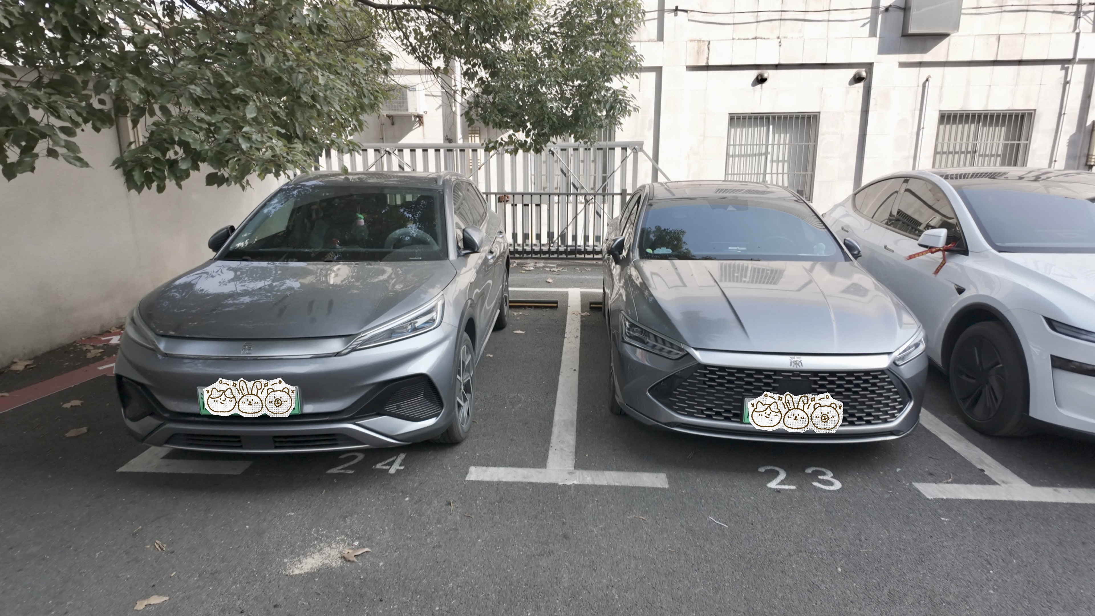 为什么高校教师信赖比亚迪？校园里的“迪粉”教授们给出了答案
最近去几个大学校区办