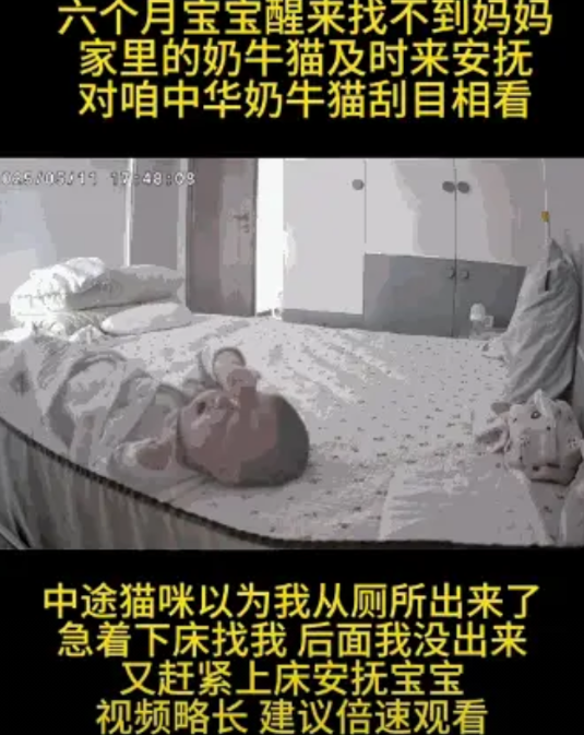 “万物皆有灵！”湖北武汉，一6个月大的宝宝睡醒后发现妈妈不在身边，瞬间哭闹起来，