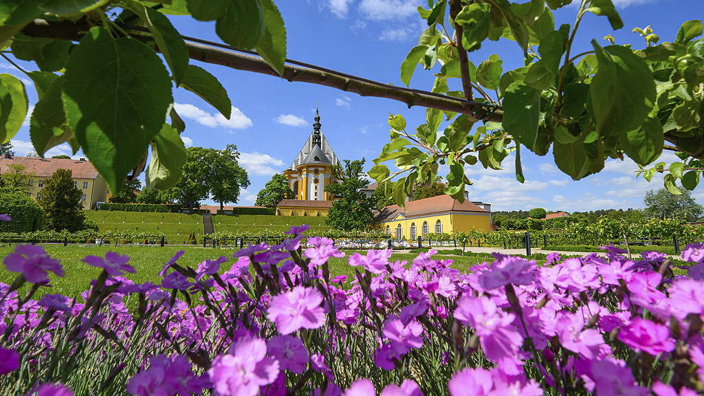 《繁花》剧组录音门，编剧的署名权重要不重要？