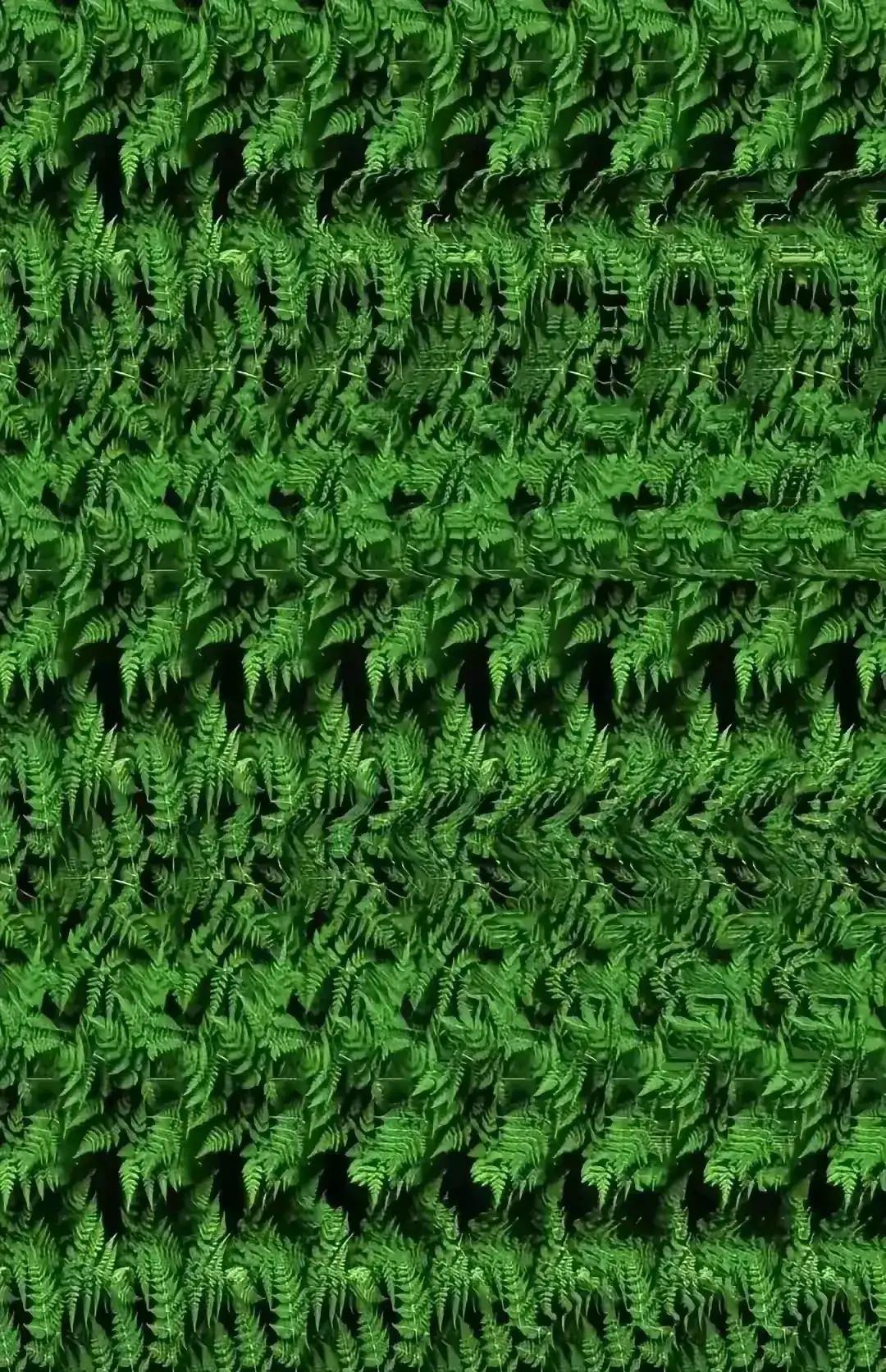 这张三维立体图，看出来的人都会发财。据说每个人的财运不相同。代表你每年的收入。[