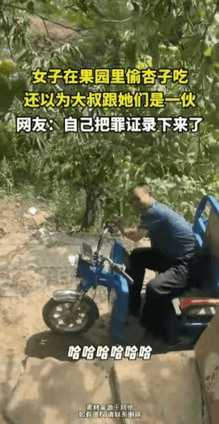 6月17日，一女子在果园偷吃杏子，正乐着呢，一位大叔路过也顺手摘了一个，女子以为