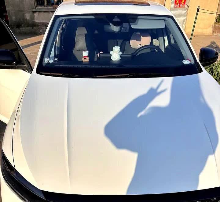 当初买车的时候，家里人都建议我买卡罗拉，说它省油。

我转身就提了大众朗逸，