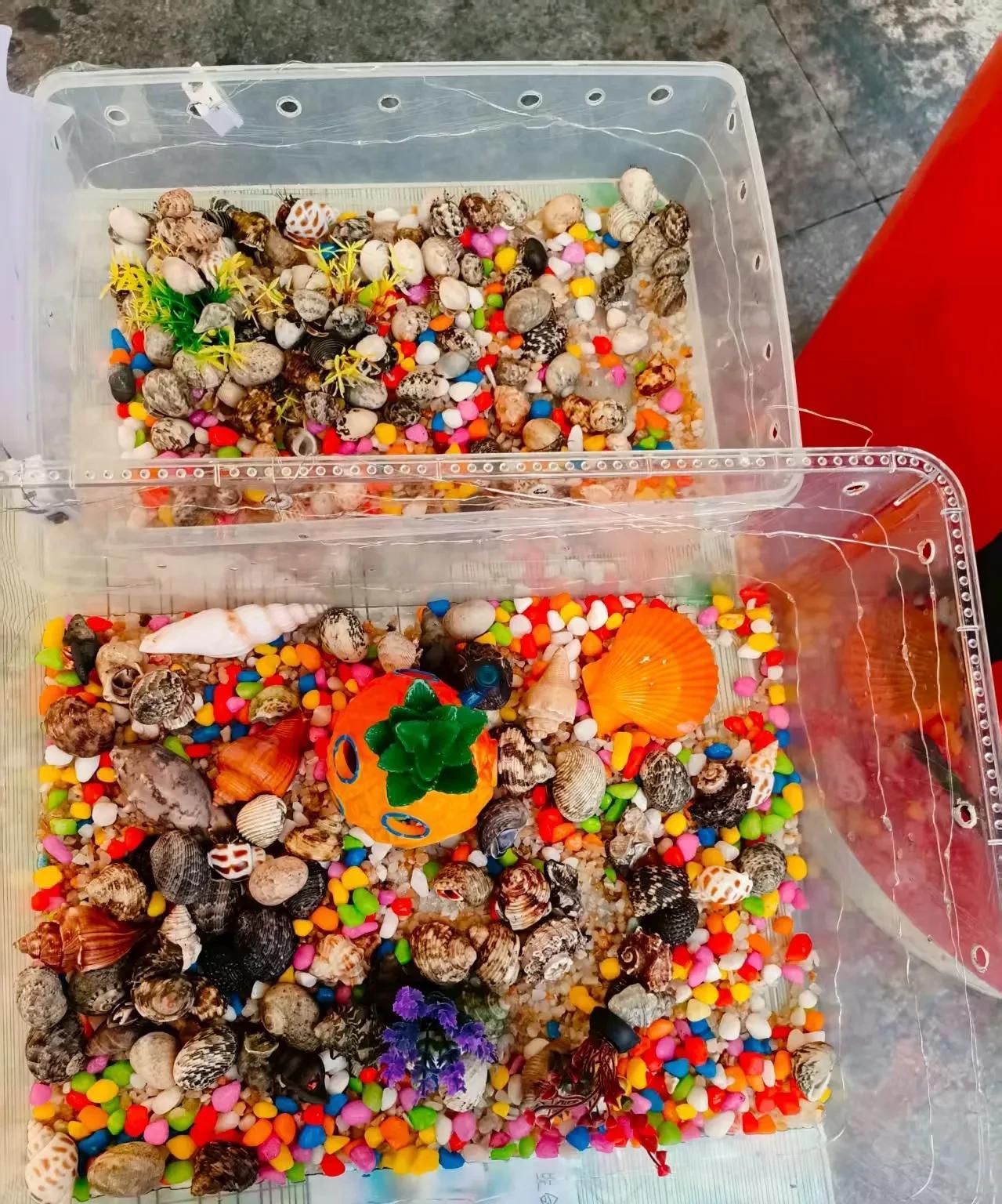 摆摊一晚上卖了220块，但感觉好像没挣钱，因为钱没进口袋。
前天因为下雨的缘故没