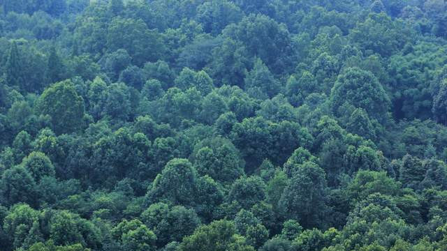 木浆纤维格子袋GRS认证EN15343证书可回收可降解可堆肥电子产品袋