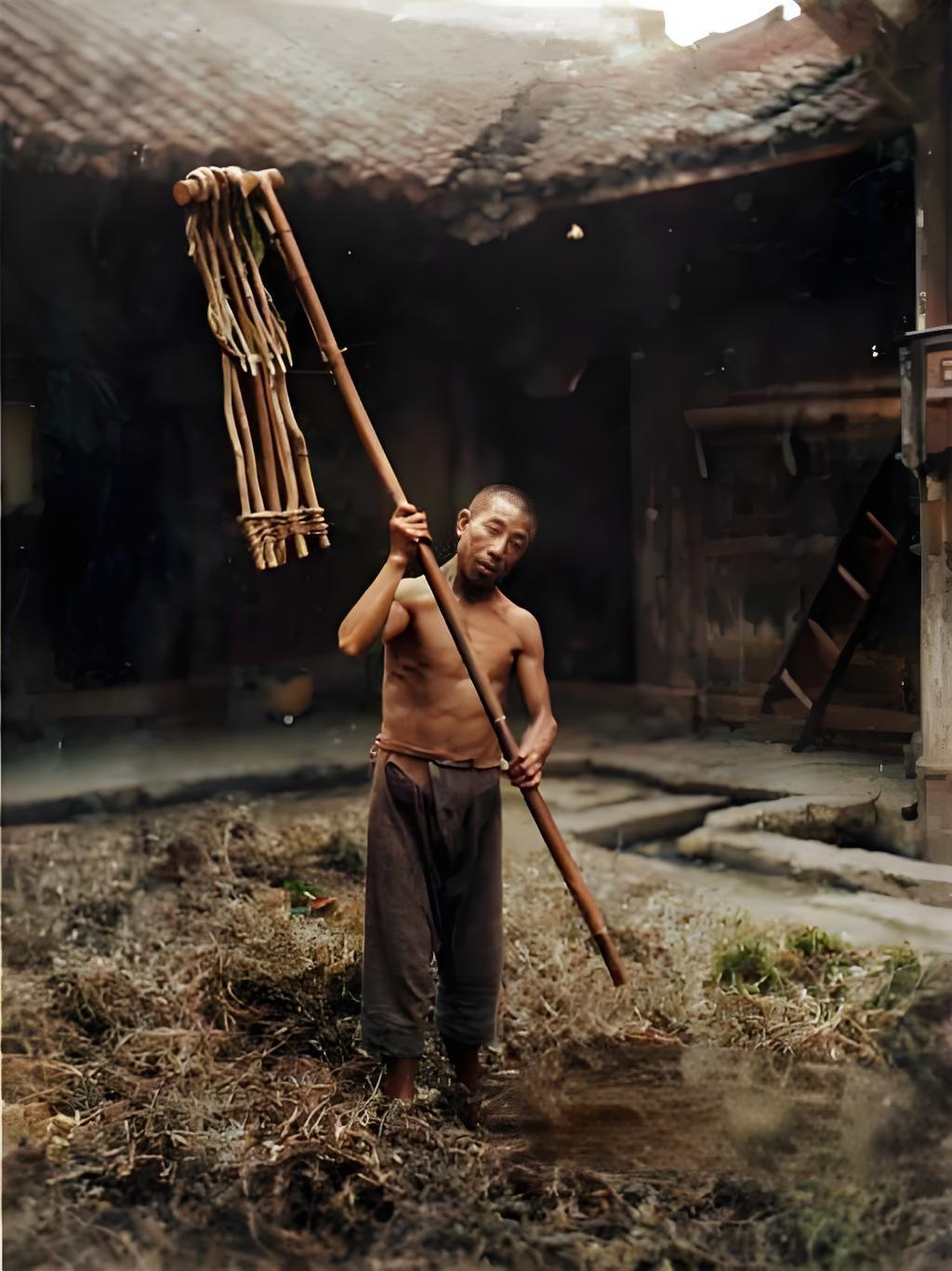 这张1915 - 1925年四川乐山打谷的照片您瞅这汉子，赤膊光脚，瘦得肋骨都支