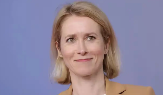 欧盟卡娅.卡拉斯给泽连斯基吃了一颗定心丸。恐怕这个定心丸定不住，卡拉斯是欧盟外长