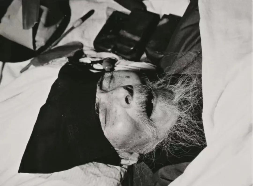 1957年9月16日，画坛巨匠齐白石在北京医院永远放下了画笔。
那年春夏，齐白石