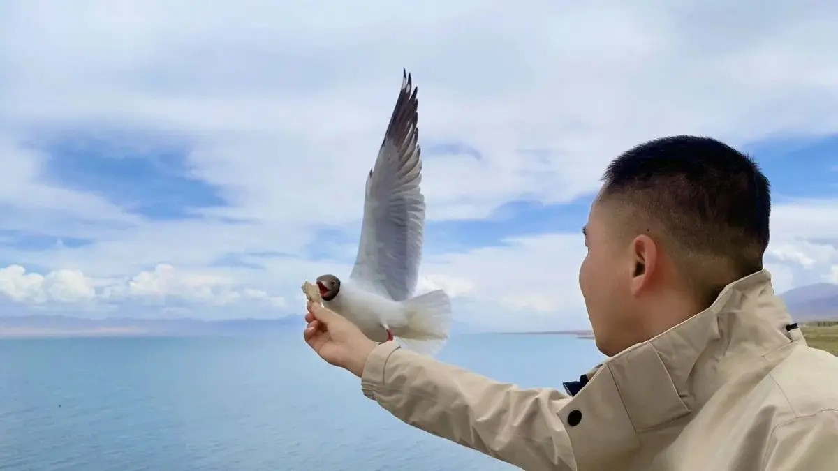 想不开，就合上