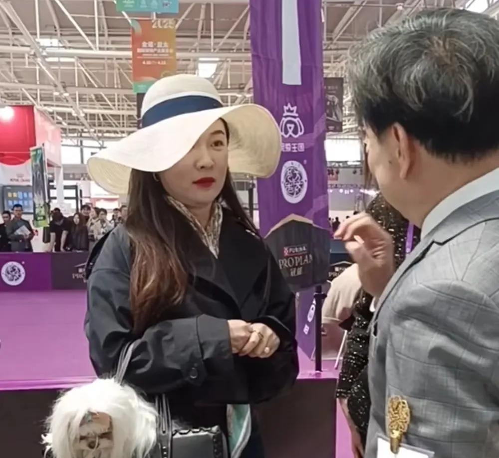 霍思燕是真有钱，装狗的包都是香奈儿！
不得不说明星真赚钱啊，这几年她没有出来工作