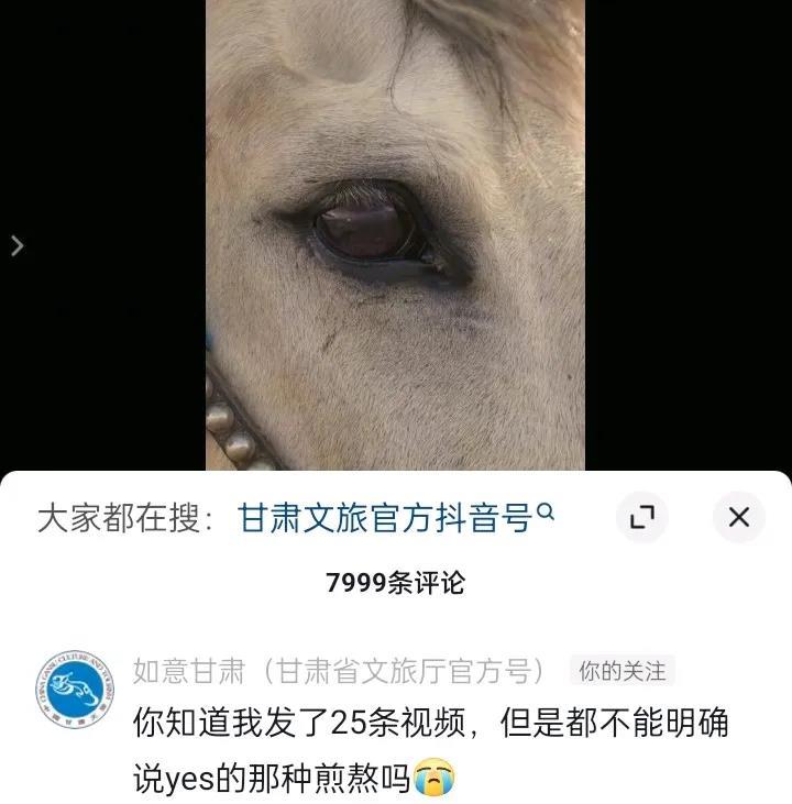 甘肃文旅，真的是卷出了新境界啊。为与辉同行甘肃行预热，竟然出了一集动画片，而且这