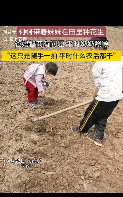 “心酸！”河南，农田里一小男孩带着的一小女孩在种花生，且干活有模有样，这不是摆拍