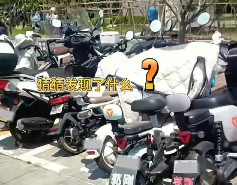 张伯鑫发现了两辆写着郭刚的电动自行车，好奇地挠挠头，猜测是不是电动车缺了德了。他