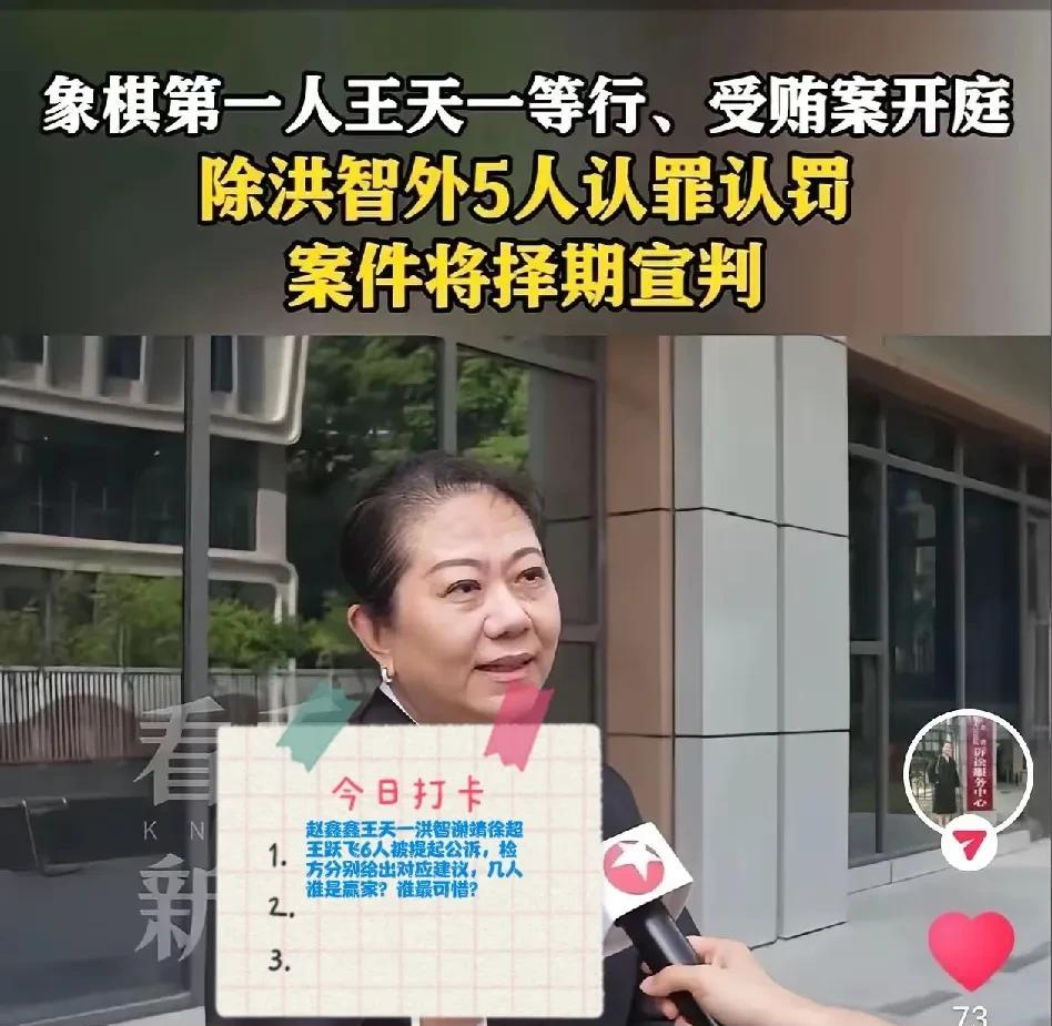 2025赵鑫鑫王天一洪智谢靖徐超王跃飞6人被提起公诉，检方分别给出对应建议，几人