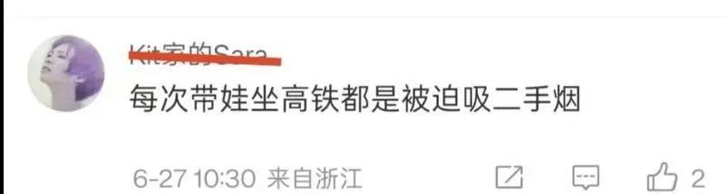 各位朋友，你们谁在高铁上看过有人吸烟的？
但是，这里就有人在网上哔哔说它带娃在高