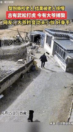 危急时刻，身手不凡
武松打虎的故事，家喻户晓，人人皆知。武松不仅力大无比，更关键