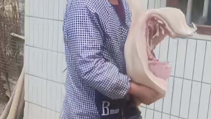 女儿是意外，女婿才是真爱？看完这个操作我服了