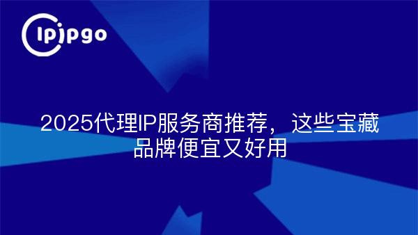 2025代理IP服务商推荐，这些宝藏品牌便宜又好用