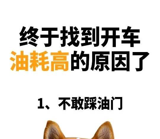 开车油耗高的6大原因！改掉每年省3千

你绝对想不到，后备箱里随手塞的矿泉水
