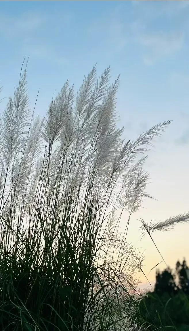 上车开始睡觉，睡醒了吃东西。
吃累了又睡。睡醒了又吃。
哇，好累啊，怎么还没到？