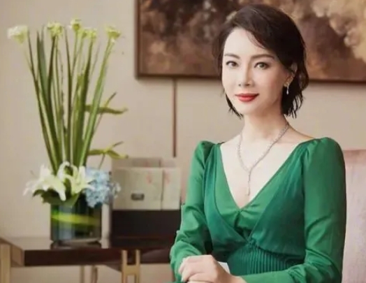 2006年，冯小刚筹集8000万，拍摄《集结号》，原定女主角是陈数，电影刚拍了5