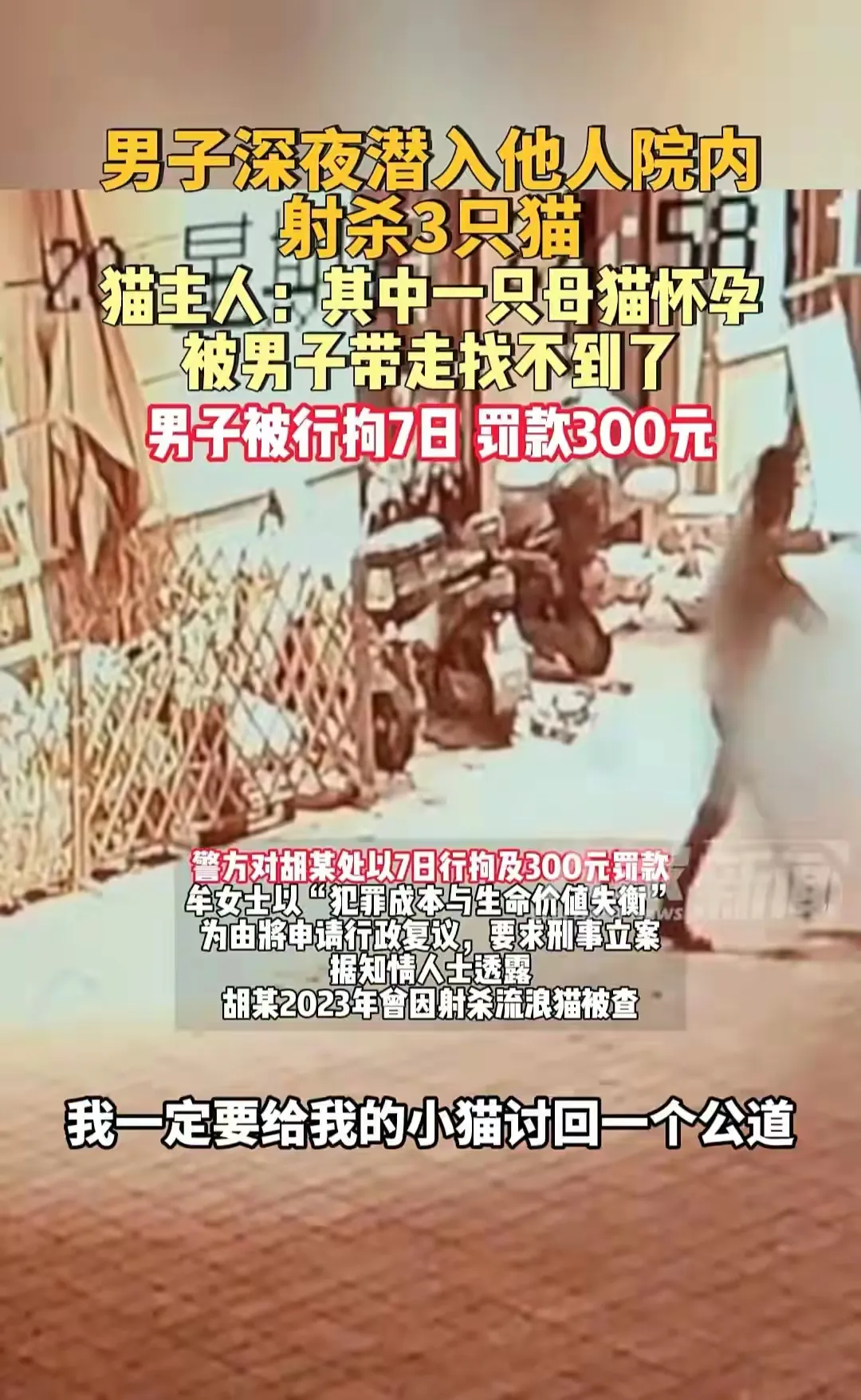 四川成都男子用弓弩射杀三只猫咪，被刑拘七天。
不愿意刷到这样的视频，男子深夜闯入