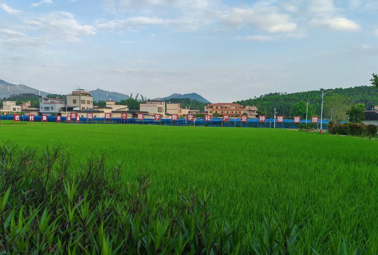 中国农民用一亩三分地养活了农药厂、肥料厂、种苗场等众多相关产业却养不活自己，这是